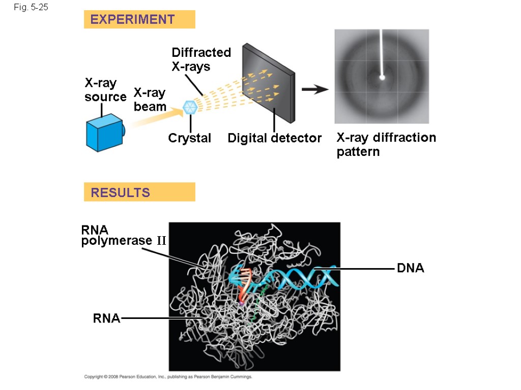 Fig. 5-25 EXPERIMENT RESULTS X-ray source X-ray beam Diffracted X-rays Crystal Digital detector X-ray